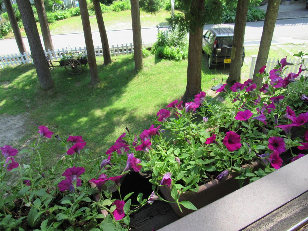 ペンション ちゃうちゃう Bed and Breakfast Hakuba Eksteriør billede
