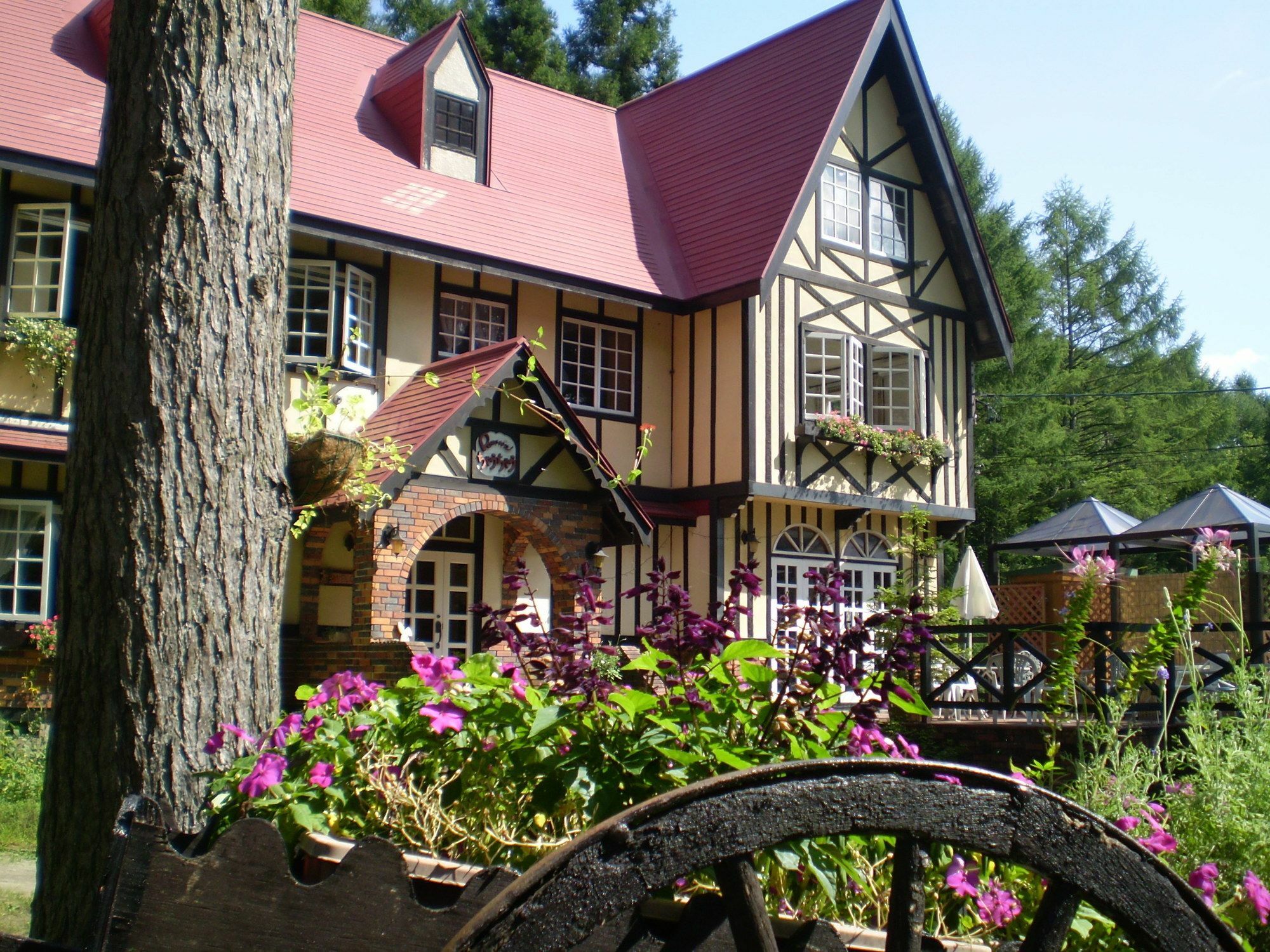 ペンション ちゃうちゃう Bed and Breakfast Hakuba Eksteriør billede